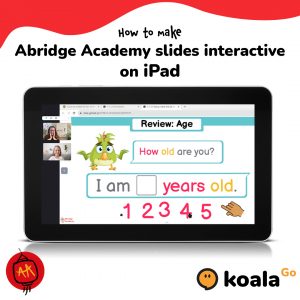 Teaching with Koala Go - zoom alternative for online ESL teachers